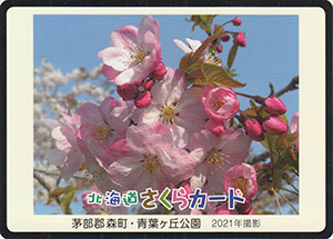 森町・青葉ヶ丘公園　北海道さくらカード