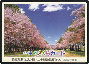 新ひだか町・二十間道路桜並木　北海道さくらカード