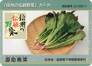 源助蕪菜　信州の伝統野菜カード