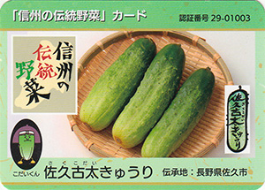 佐久古太きゅうり　信州の伝統野菜カード