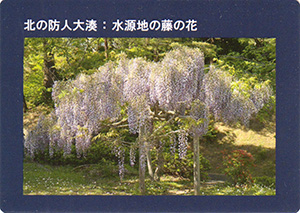 北の防人大湊カード