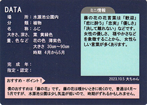 北の防人大湊カード