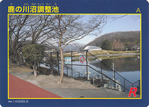 鹿の川沼調整池　Ver.1.0