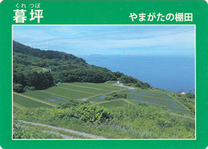 暮坪　やまがたの棚田