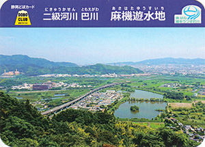 二級河川巴川　麻機遊水地