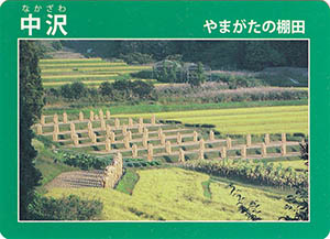 中沢　やまがたの棚田