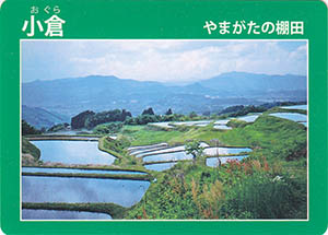 小倉　やまがたの棚田