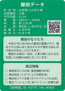 小倉　やまがたの棚田