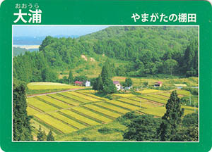 大浦　やまがたの棚田