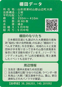 大蕨　やまがたの棚田