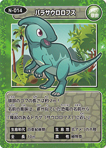 パラサウロロフス　N-014