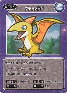 プテラノドン　N-007