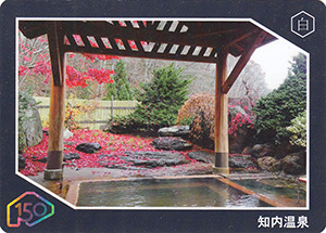 知内温泉　道南れきぶんカード