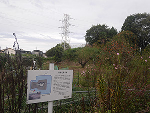 神郷亀塚古墳　Ver.1.00