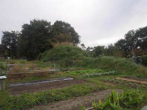 神郷亀塚古墳　Ver.1.00