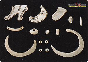 貝製装飾品など　あおもり縄文カード２４５