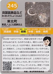 貝製装飾品など　あおもり縄文カード２４５