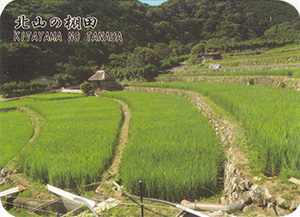 北山の棚田(棚田百選)