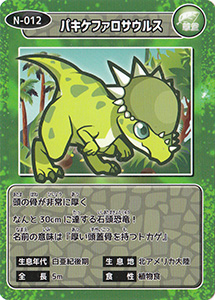 パキケファサウルス　N-012