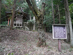 繖山北麓の群集墳（山面古墳群）　Ver.1.00