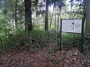 繖山北麓の群集墳（山面古墳群）　Ver.1.00