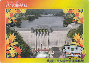 数奇なカードコレクター | 何でも集めたくなるのが男のサガ(性