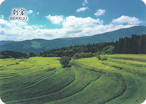 別宮の棚田（つなぐ棚田遺産）