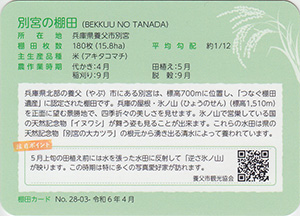 別宮の棚田（つなぐ棚田遺産）