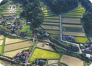 中央の棚田