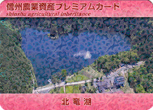 北竜湖　信州農業資産プレミアムカード