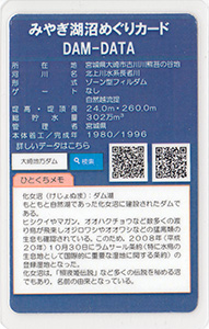 ダムカード | 数奇なカードコレクター