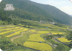 宮垣の棚田(つなぐ棚田遺産)