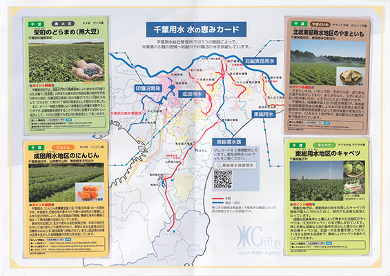 千葉用水　水の恵みカードコレクション
