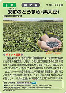 千葉　栄町のどらまめ（黒大豆）
