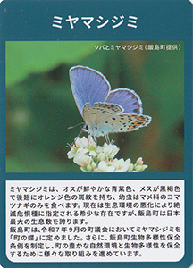 ミヤマちゃん　飯島町