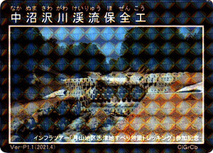 中沼沢川渓流保全工　Ver-P1.1