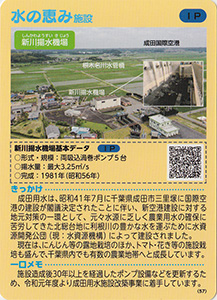 千葉　成田用水地区のにんじん　Ver.1.0