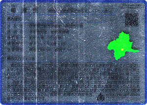 柳瀬橋　ぐんま橋カードNo.6