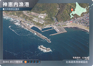 神恵内漁港　漁港カード4