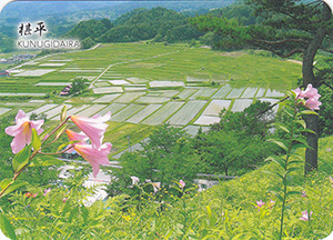 椹平（棚田百選・つなぐ棚田遺産）