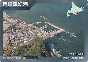 音調津漁港　漁港カード10