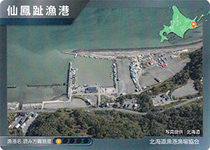 仙鳳趾漁港　漁港カード32