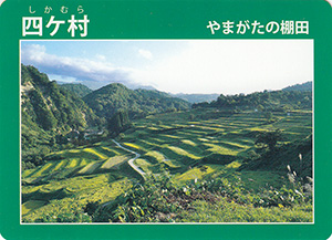 四ケ村　やまがたの棚田