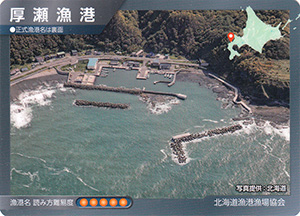 厚瀬漁港　漁港カード5