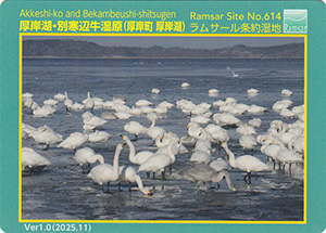 湿地カード　北海道釧路管内版