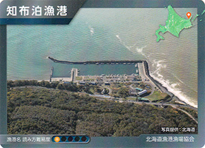 知布泊漁港　漁港カード27
