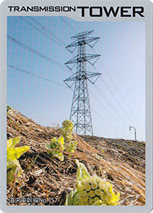 鉄塔カード　北海道電力ネットワーク　’２４逢春