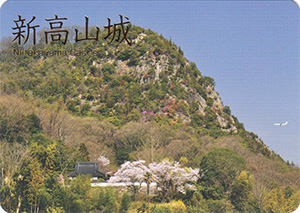 新高山城　続日本１００名城　No.173