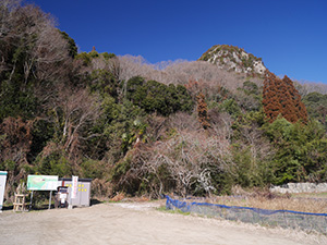 新高山城　続日本１００名城　No.173