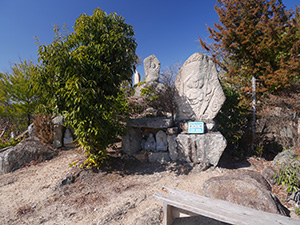 新高山城　続日本１００名城　No.173